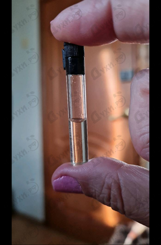 Отзывы Aedes de Venustas Iris Nazarena