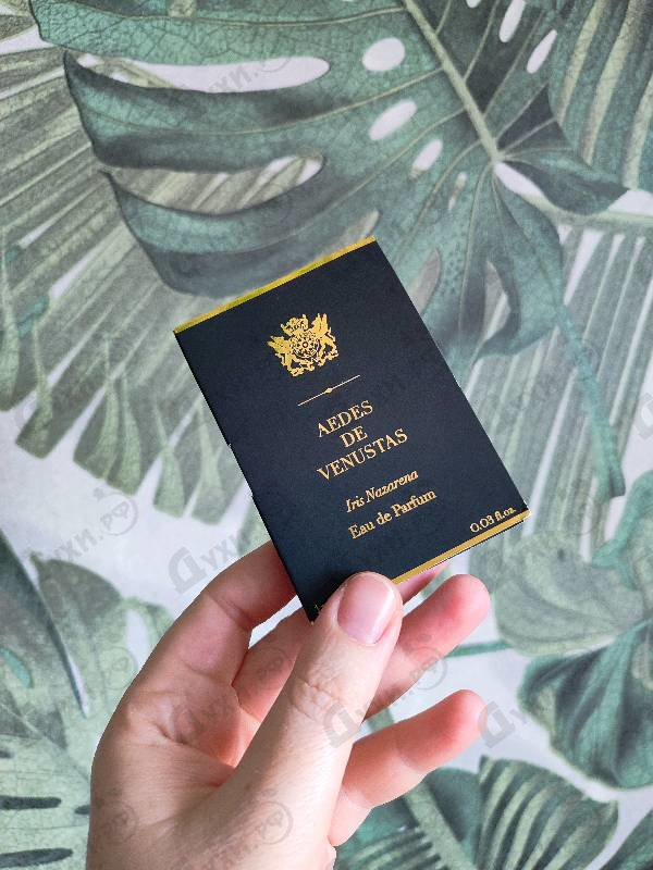 Отзыв Aedes de Venustas Iris Nazarena