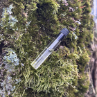 Отзыв Aedes de Venustas Iris Nazarena