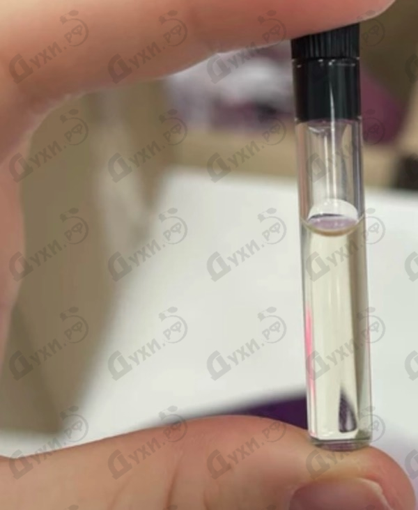 Купить Aedes de Venustas Oeillet Bengale