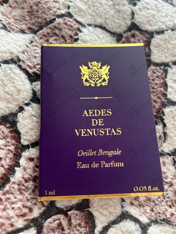 Купить Oeillet Bengale от Aedes de Venustas