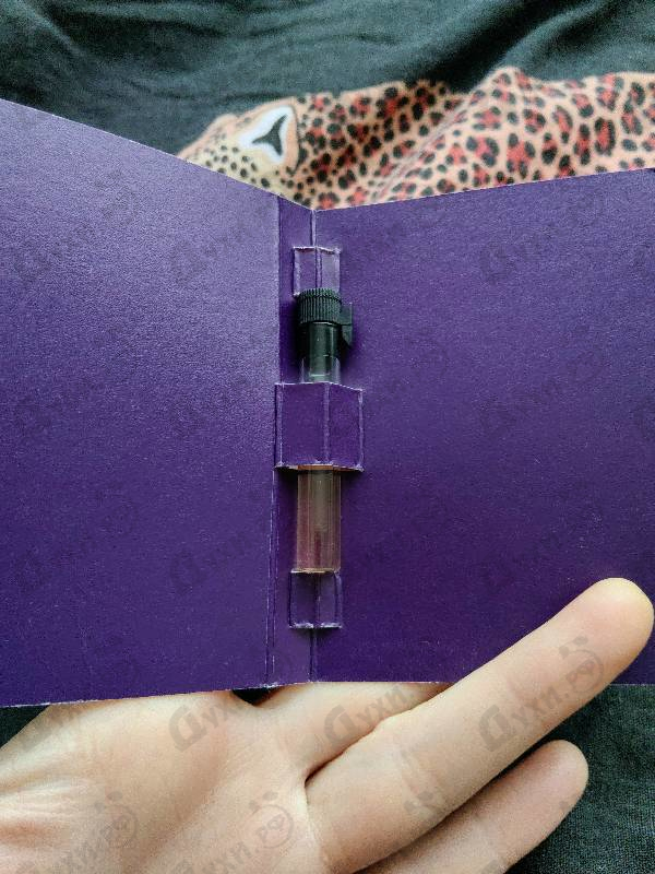 Духи Oeillet Bengale от Aedes de Venustas