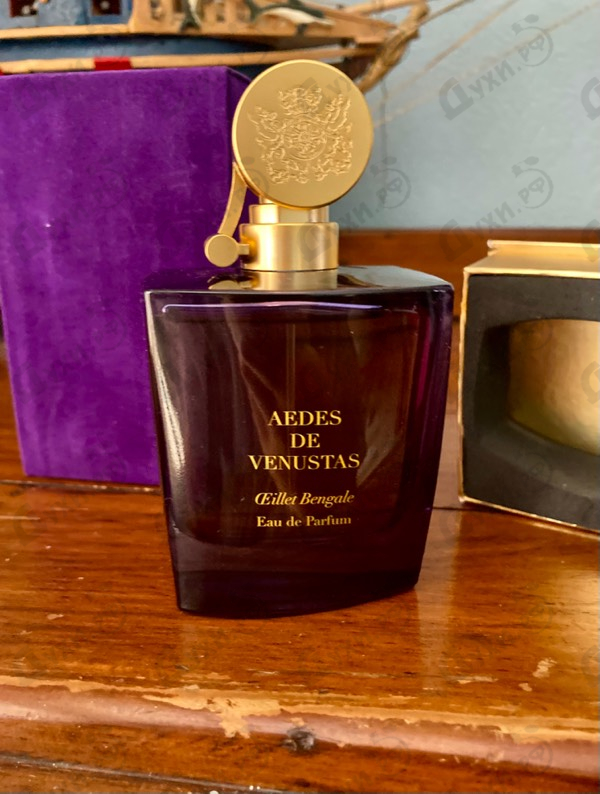 Купить Oeillet Bengale от Aedes de Venustas