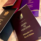 Духи Palissandre D'or от Aedes de Venustas