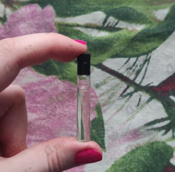 Отзыв Aedes de Venustas Palissandre D'or