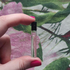 Отзыв Aedes de Venustas Palissandre D'or