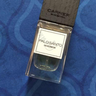 Отзыв Carner Barcelona Palo Santo