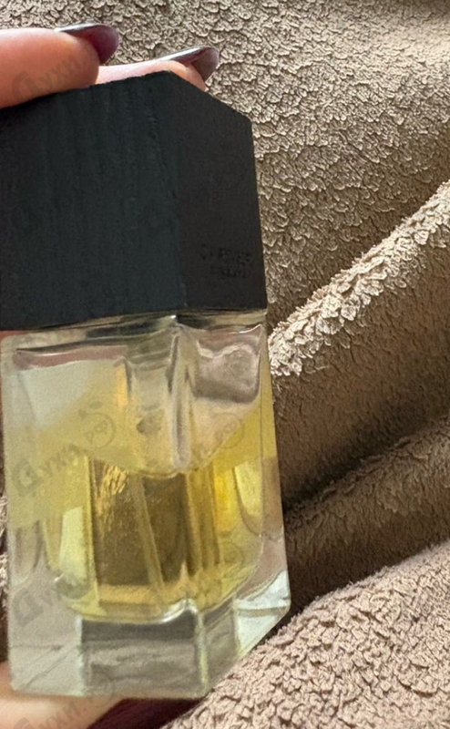Духи Palo Santo от Carner Barcelona