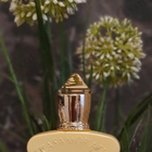Духи Fiore D'ulivo от Xerjoff