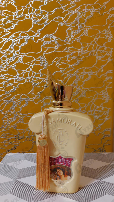 Отзыв Xerjoff Fiore D'ulivo Купить Fiore D'ulivo от Xerjoff