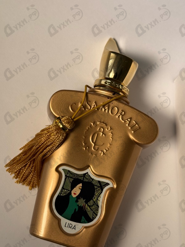 Купить Lira от Xerjoff