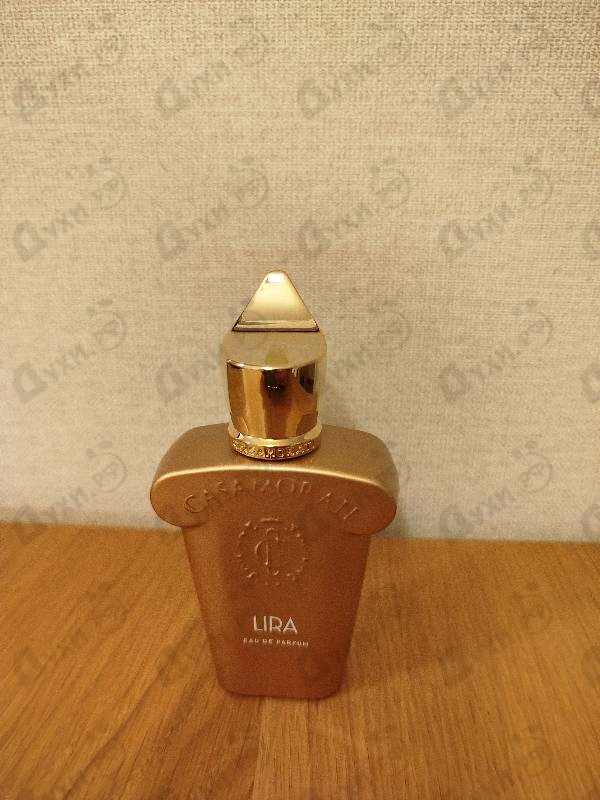 Купить Lira от Xerjoff