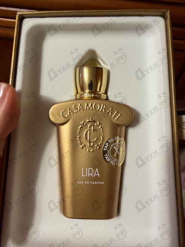 Купить Lira от Xerjoff