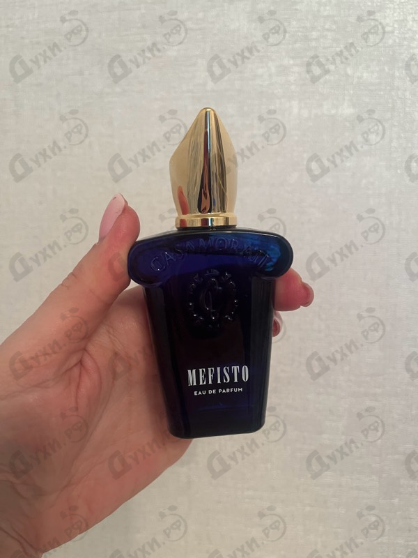 Купить Mefisto от Xerjoff Отзывы Xerjoff Mefisto