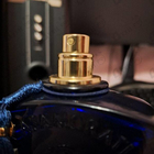 Парфюм Xerjoff Mefisto