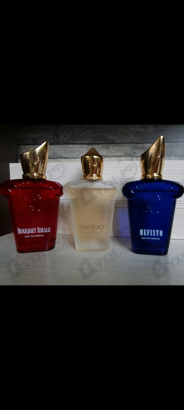 Купить Mefisto от Xerjoff