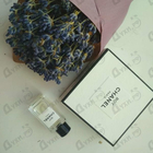 Отзывы Chanel Boy