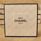Отзыв Chanel Boy