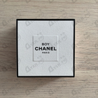 Отзыв Chanel Boy