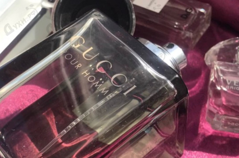 Купить Gucci Pour Homme 2016