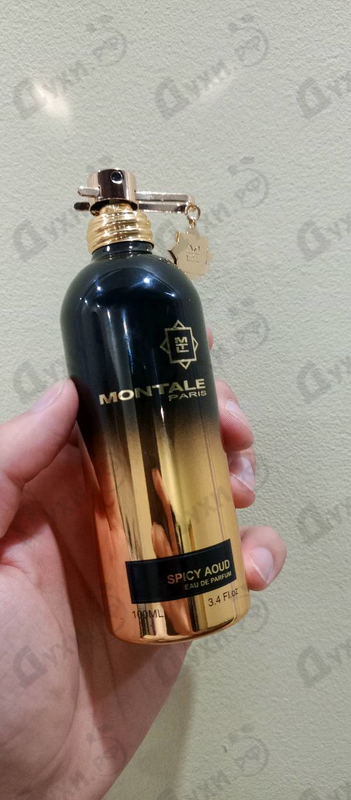 Купить Spicy Aoud от Montale