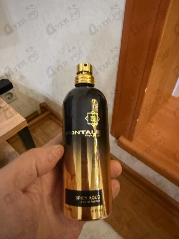 Купить Spicy Aoud от Montale