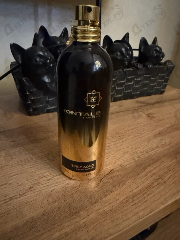 Отзыв Montale Spicy Aoud