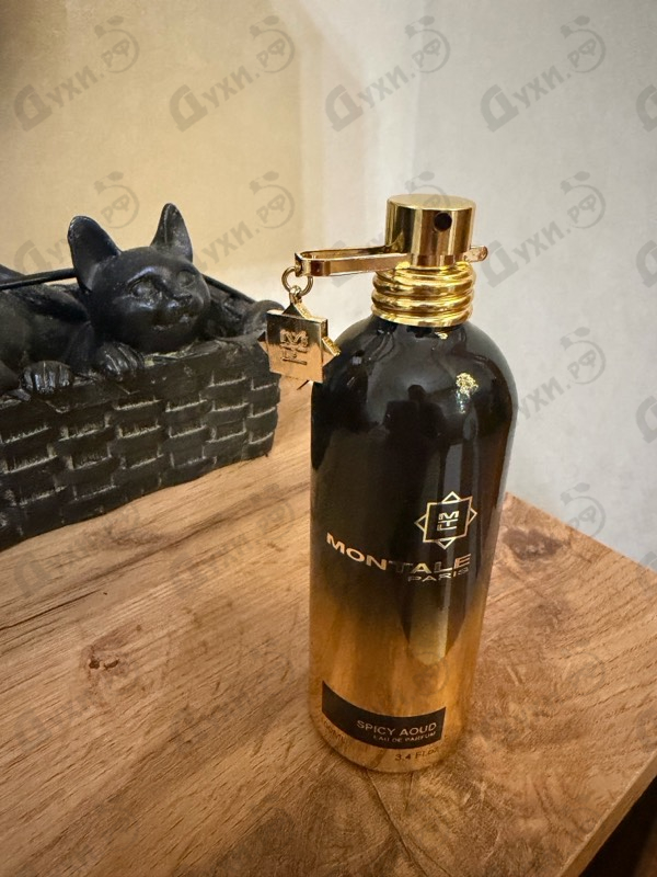 Отзывы Montale Spicy Aoud