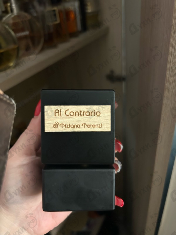 Купить Tiziana Terenzi Al Contrario