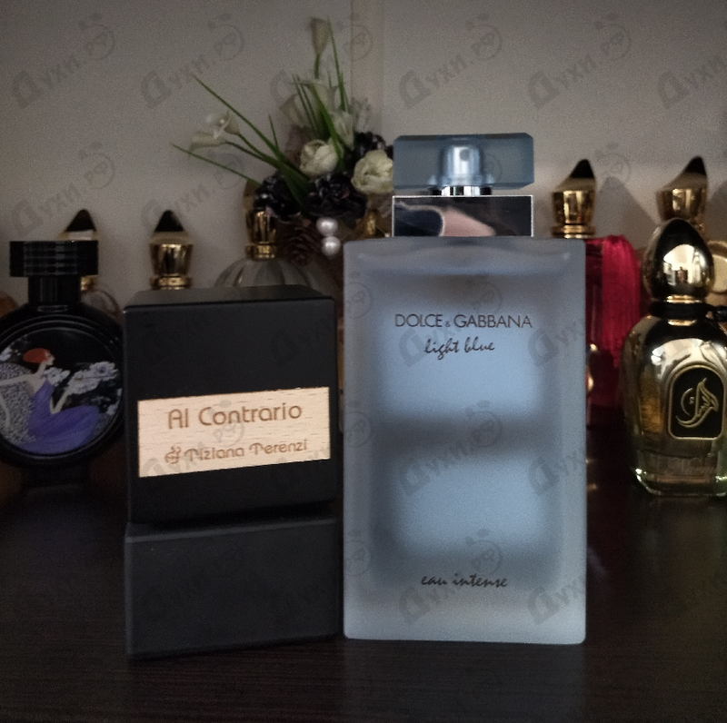 Тициана терензи аль контарио. Парфюм UCANDLES Blueberry Nights. Духи je Malone English Pear and Freesia. Malone English Pear & Freesia, 100мл розовый. Ароматный аксессуар Jo Malone "English Pear & Freesia Scent to go".