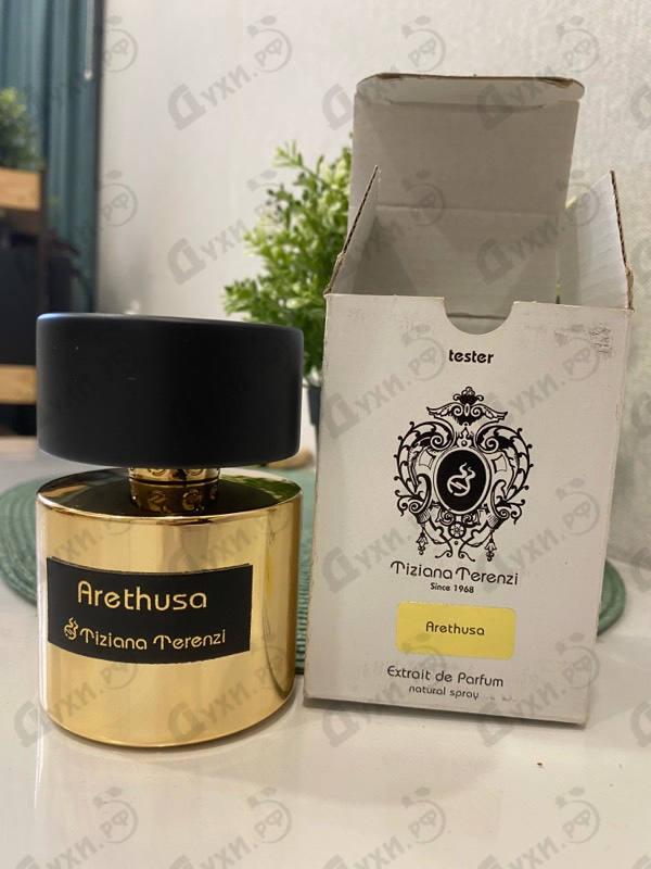 Купить Arethusa от Tiziana Terenzi