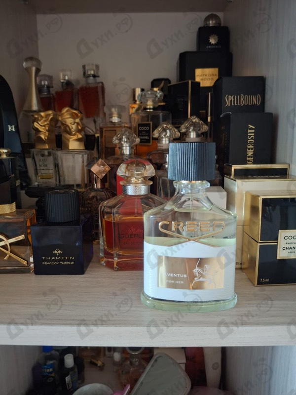 Парфюмерия Aventus от Creed