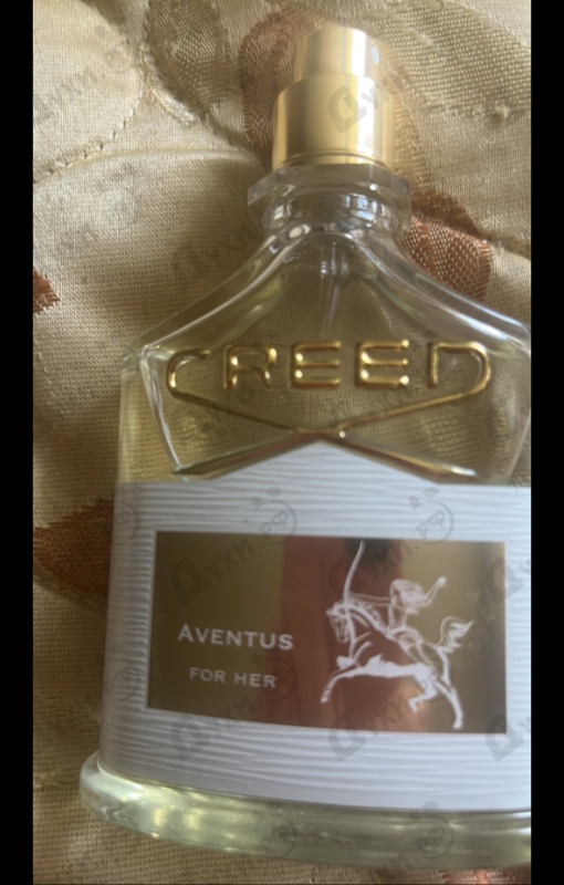 Купить Aventus от Creed