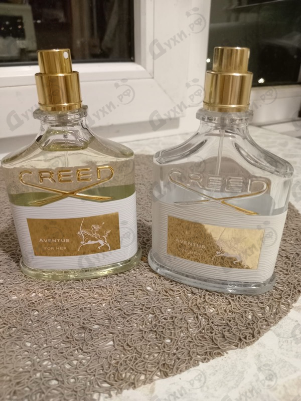 Купить Creed Aventus