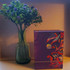 Отзывы Amouage Myths