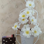 Отзыв Memo Marfa