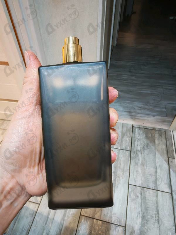 Купить Marfa от Memo