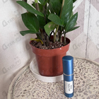 Отзыв Memo Marfa