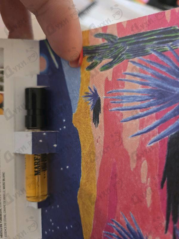 Отзыв Memo Marfa