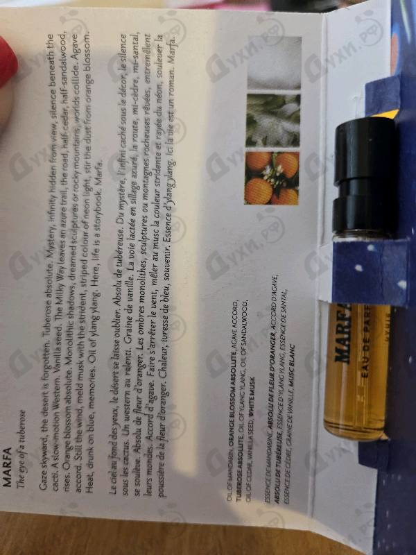 Купить Memo Marfa