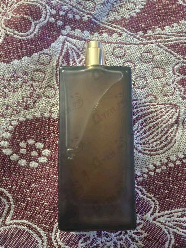 Купить Marfa от Memo