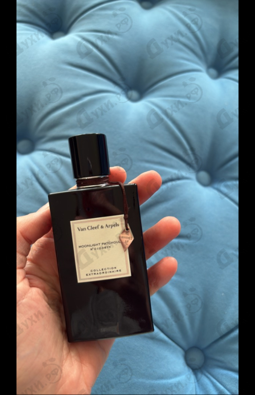 Купить Van Cleef & Arpels Moonlight Patchouli