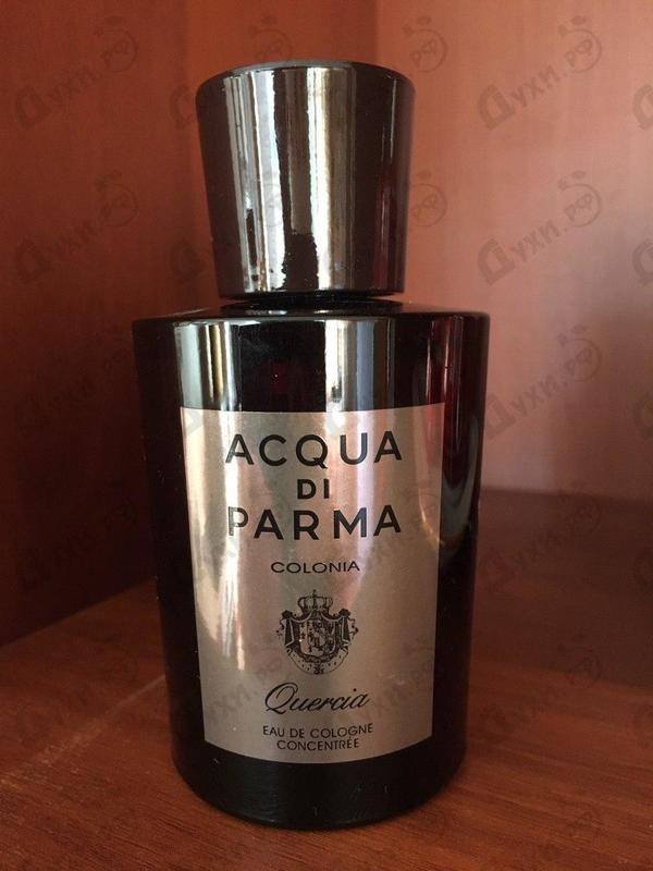 Купить Colonia Quercia от Acqua Di Parma