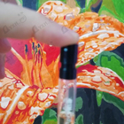 Отзыв Ajmal Regina