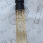 Отзыв Ajmal Regina