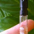 Отзывы Ajmal Regina