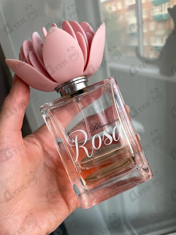 Купить Rosa от Blumarine