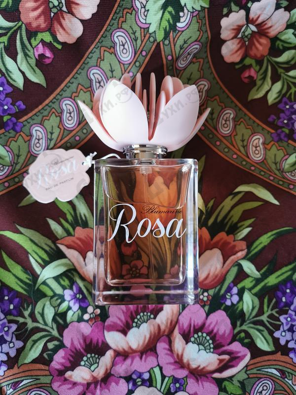 Духи Rosa от Blumarine