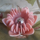 Отзыв Blumarine Rosa