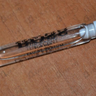 Духи The Scent от Hugo Boss